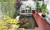 Thiết kế thi công sân vườn đẹp tiểu cảnh trong nhà