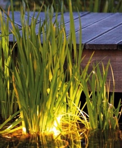 ACCESSORIES ILLUMINATION