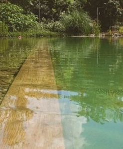 CẤU TRÚC HỒ VÀ SÂN VƯỜN