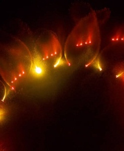LED SPOTLIGHTS (COLOURED)